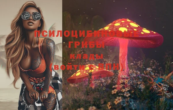 дурь Кулебаки