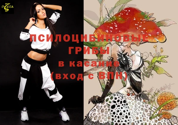 дурь Кулебаки